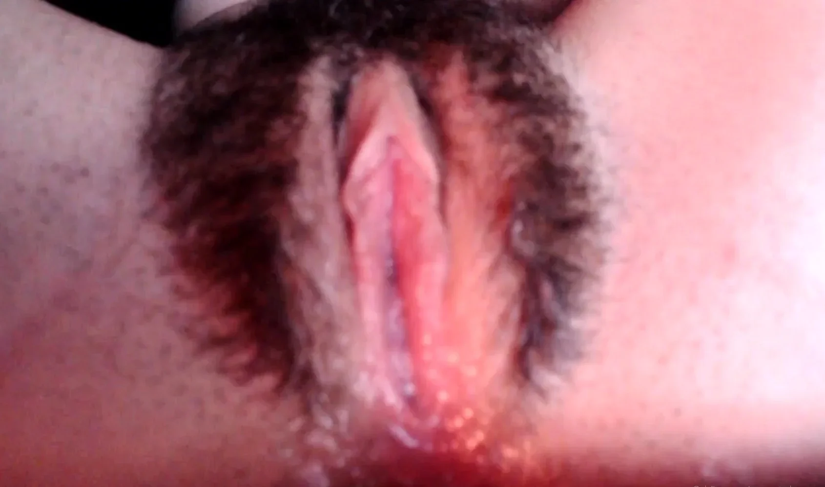 Amateur close up blowjob and facial