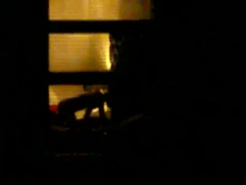 Window Sex