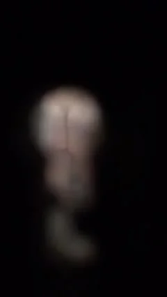Hidden shower