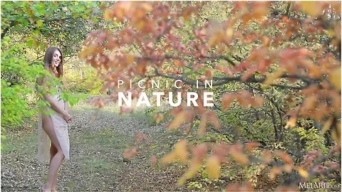 Picnic In Nature - Georgia