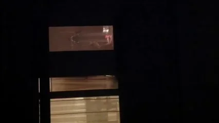 Una meravigliosa vicina 1