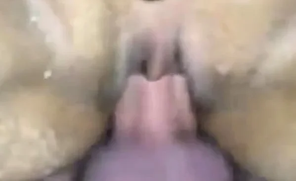 Atesli Orospu Am got Veriyor