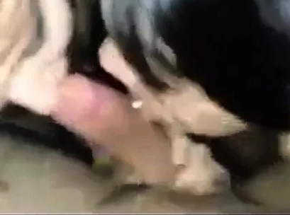 Two asian exchange students suck cock after college