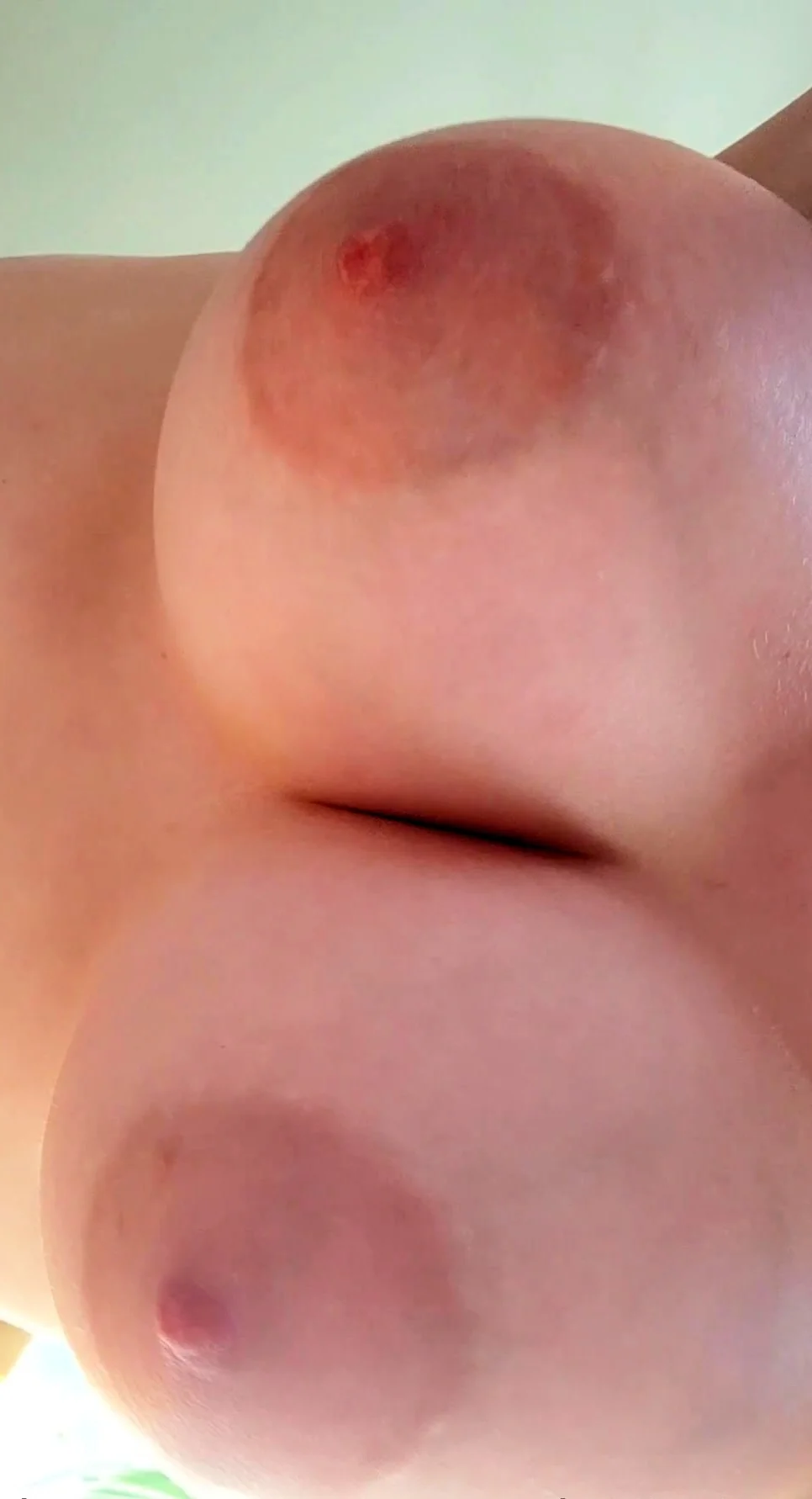 Bustys Cam Webcam Big Boobs Free Big Boobs Cam Porn Video