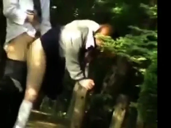 Japanese girl fucked in public