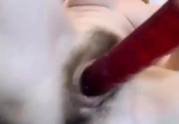 Girl play with hairy holes