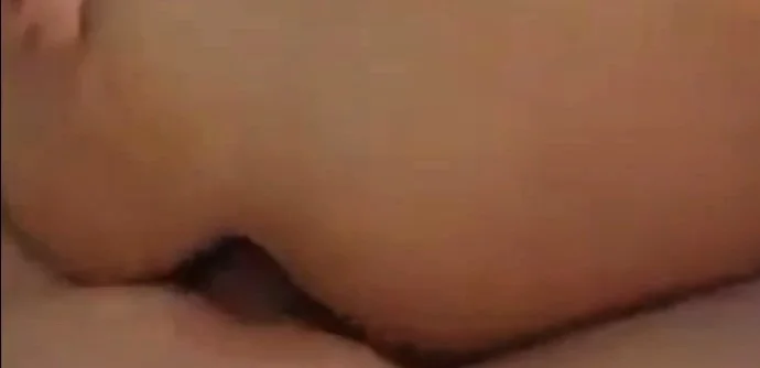 Arschfick