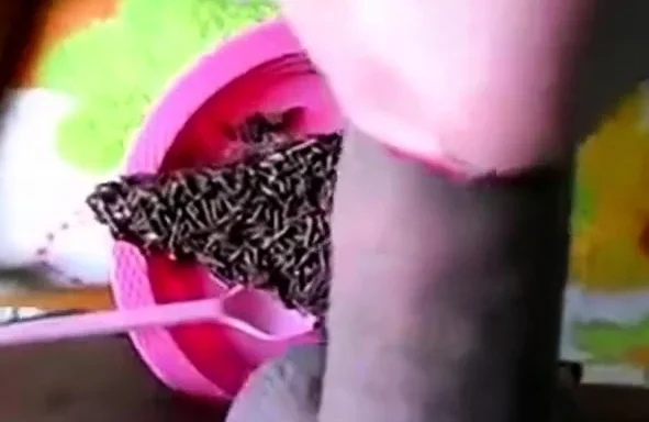 Brazilian Girl Eating Cum Cake