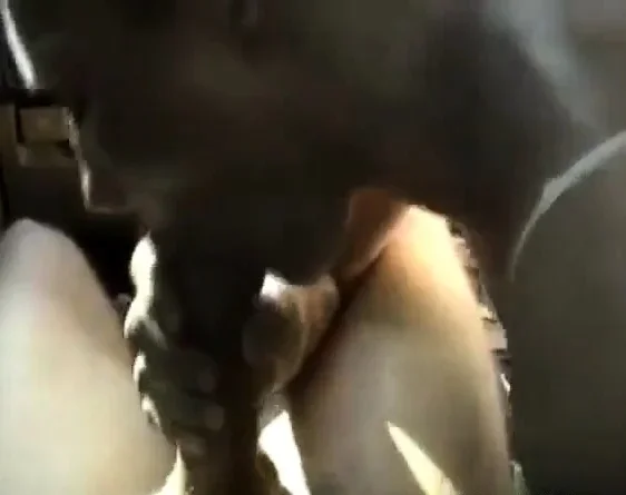 Nice Stripper Blowjob Swallow