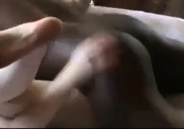 Passionate excited girl fucked hard BBC