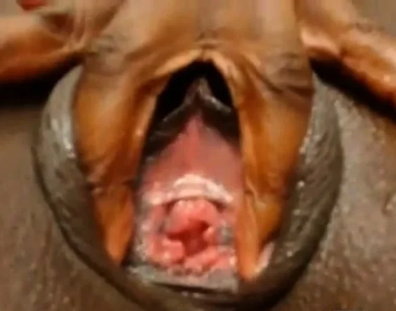 Ebony close up on cam