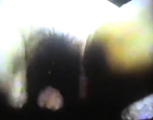 0ld VHS home me and my girl cumshot in her hairy pussy