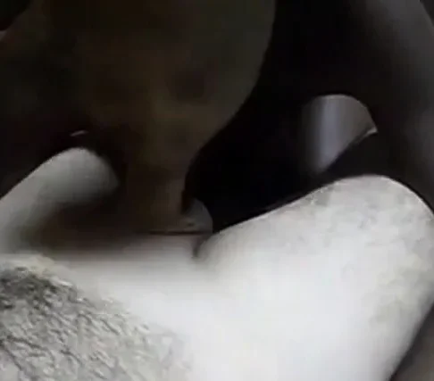 MULATA CHUPANDO E TRANSANDO