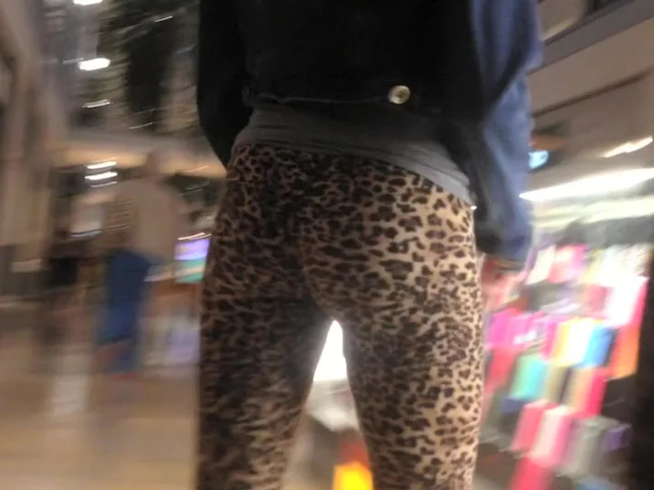 Trying to catch the jaguar